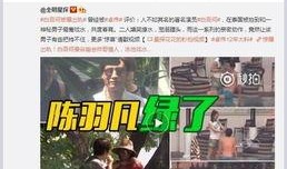 陈飞爆料视频大全下载安装,揭秘幕后真相，带你走进事件核心