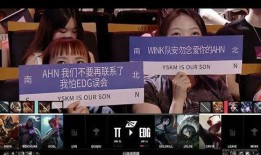 黑客爆料警花视频播放,黑客揭秘惊人真相